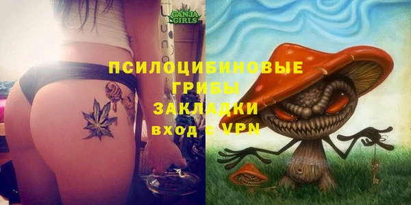 гашик Лихославль