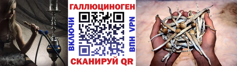 Галлюциногенные грибы мухоморы Тотьма